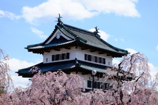 弘前城公園の桜